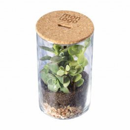 TERRARIUM PERSONNALISÉ 'TERRARI' 