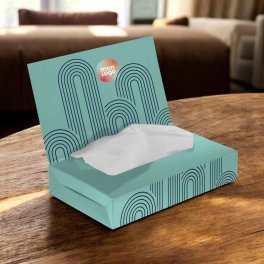 BOITE DE MOUCHOIRS PERSONNALISABLE 'TCHOUMA FLAP'