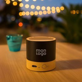 MINI ENCEINTE PERSONNALISABLE 'ELEG ALU BAMBOU'