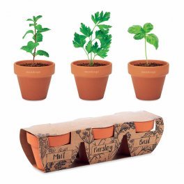 KIT DE PLANTATION PERSONNALISABLE 'POPPY TRIO'