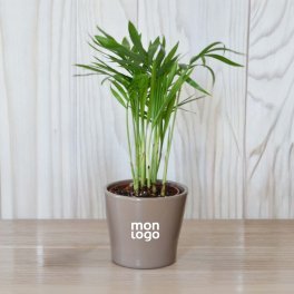 MINI PLANTE EN POT CERAMIQUE PERSONNALISABLE 'LIMIFO'