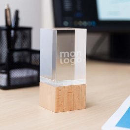 TROPHEE EN VERRE ET BOIS PERSONNALISABLE 'KAYNA CUBE'