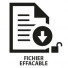 499017 | INSERT FICHIER EFFACABLE