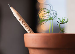 Comment offrir un cadeau d’affaires écologique et personnalisé avec Pouss, le crayon à graines