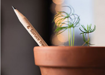 Comment offrir un cadeau d’affaires écologique et personnalisé avec Pouss, le crayon à graines
