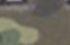 camo vert camo vert