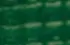 vert vert
