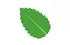 menthe menthe
