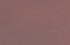 marron foncé marron foncé