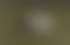 vert olive