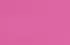 fuchsia fuchsia