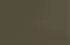army army