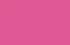 rose rose
