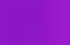 fuchsia fuchsia
