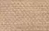 beige beige