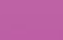 fuchsia fuchsia