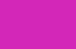 fuchsia fuchsia