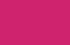 fuchsia fuchsia