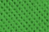 vert vert