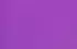 fuchsia fuchsia