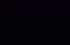 noir noir