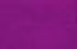 fuchsia fuchsia