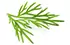 herbe herbe