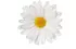 fleur abeille fleur abeille