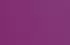 fuchsia fuchsia