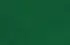 vert foncé vert foncé