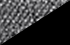 gris/noir gris/noir