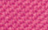 fuchsia fuchsia
