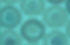 bleu turquoise bleu turquoise