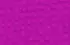 fuchsia fuchsia