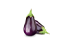 aubergine aubergine