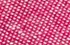 fuchsia fuchsia