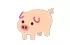 cochon