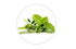 aromatiques aromatiques