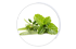 aromatiques aromatiques