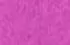 fuchsia fuchsia