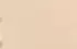 beige beige