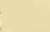 jaune jaune