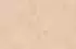beige beige
