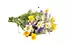 fleurs sauvages fleurs sauvages