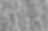 gris clair