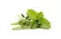herbes aromatiques herbes aromatiques