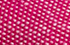 fuchsia fuchsia