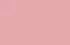 rose rose