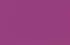 fuchsia fuchsia