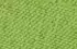 vert vert